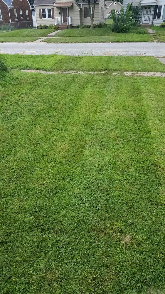 Top-rated residential landscaping in Davenport, IA - Mcneal's Painting & Drywalling