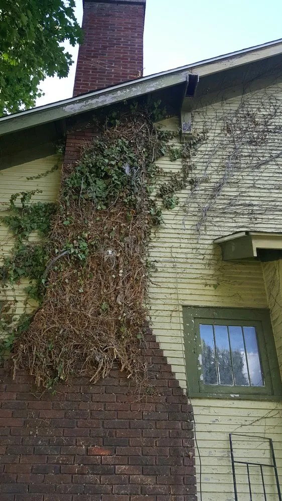 Reliable lawn care service for outdoor upgrades in Davenport, IA by Mcneal's Painting & Drywalling