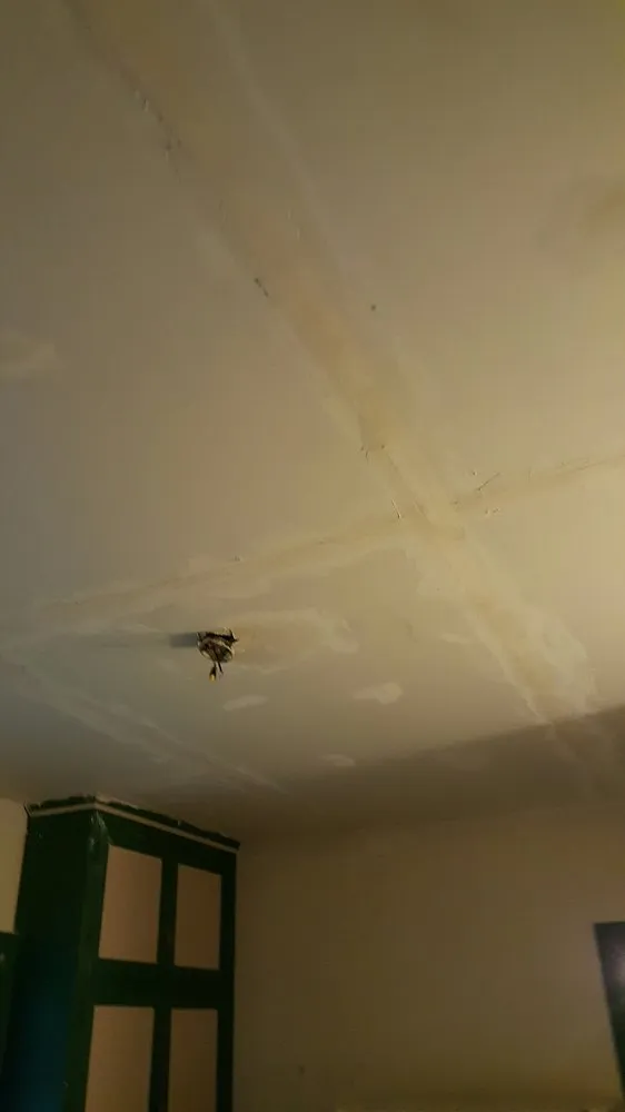 Local lawn care service for homes across Davenport, IA - Mcneal's Painting & Drywalling