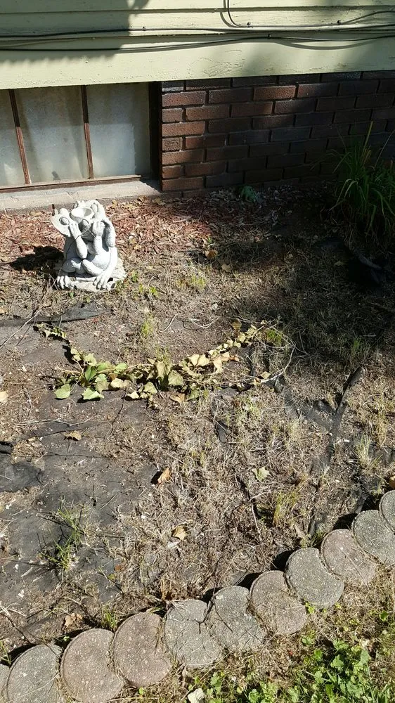 Affordable landscaping services for residential properties in Davenport, IA by Mcneal's Painting & Drywalling