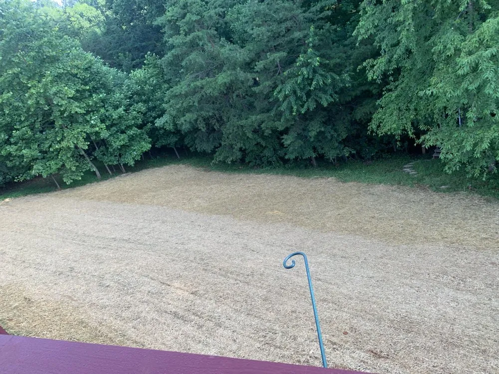 Trusted lawn care service for beautiful yards across Moneta, VA - Mcneely Excavating and Hauling