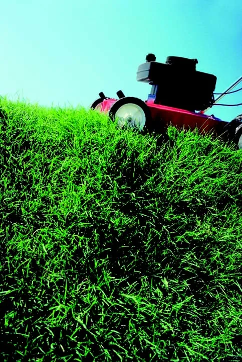 Local lawn care service in New Lenox, IL by McNeff Lawn & Snow