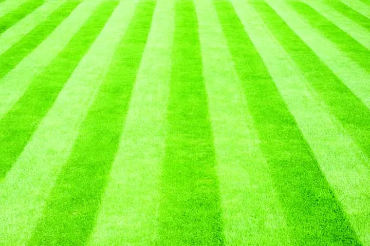 Custom lawn mowing service in New Lenox, IL by McNeff Lawn & Snow