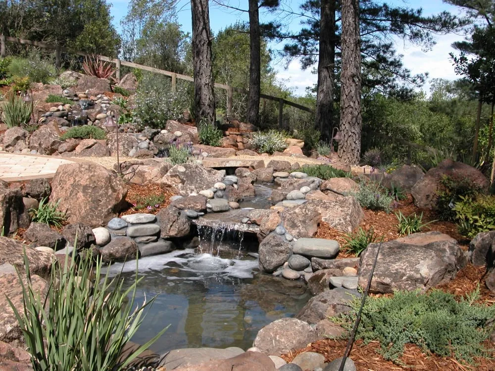 Local yard cleanup service in Santa Rosa, CA - McNeil Landscaping & Construction