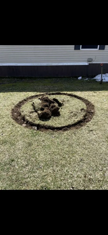 Trusted lawn care service in Eden, VT - McNeill's Landscaping