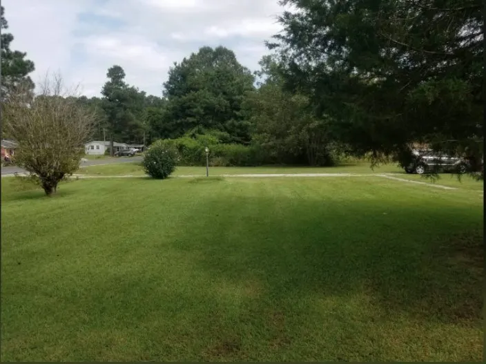 Reliable yard cleanup service in Erwin, NC - McNeill's Lawn Care