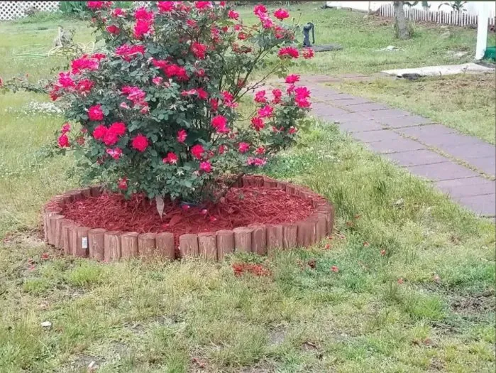 Professional landscape installation in Erwin, NC - McNeill's Lawn Care