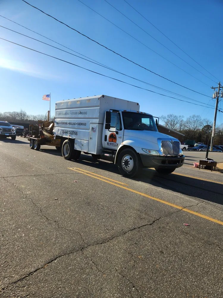 Affordable yard cleanup service experts serving Casar, NC - McNeilly Tree Service & Land Management