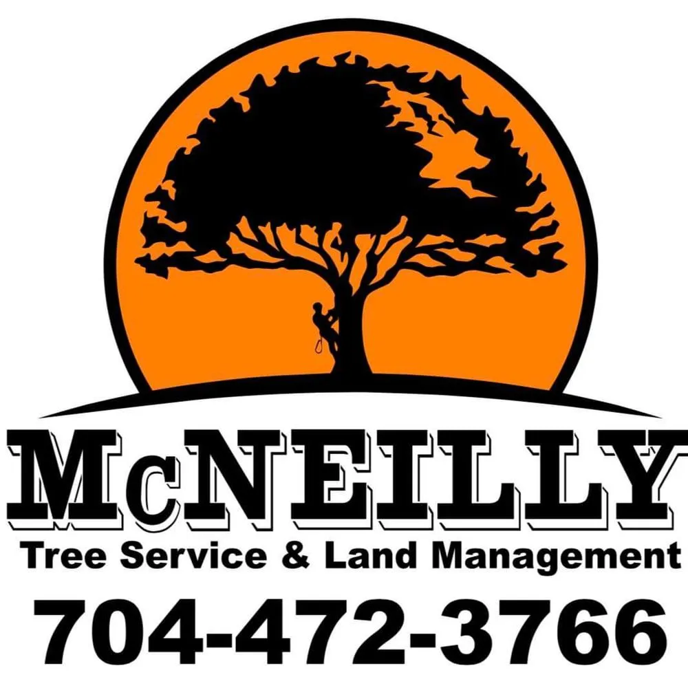 Expert garden landscaping in Casar, NC by McNeilly Tree Service & Land Management