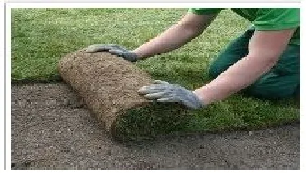 Affordable residential landscaping for beautiful yards in Havertown, PA by McNelis Landscaping