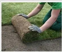 Top-rated landscape installation experts serving Havertown, PA - McNelis Landscaping