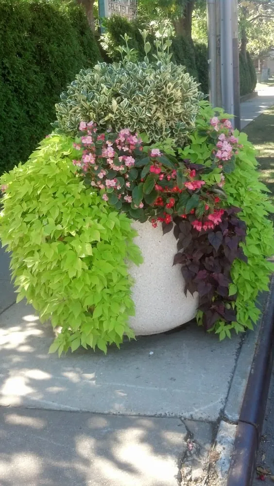 Top-rated lawn mowing service experts serving New Hyde Park, NY - McNulty Outdoors