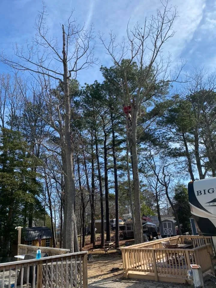 Reliable lawn mowing service for beautiful yards across Madison, VA - McPeak's Complete Tree and Landscaping