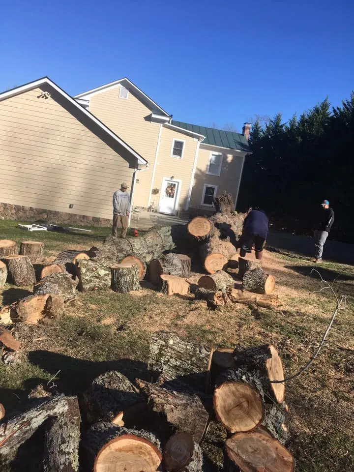 Affordable outdoor landscaping experts serving Madison, VA - McPeak's Complete Tree and Landscaping