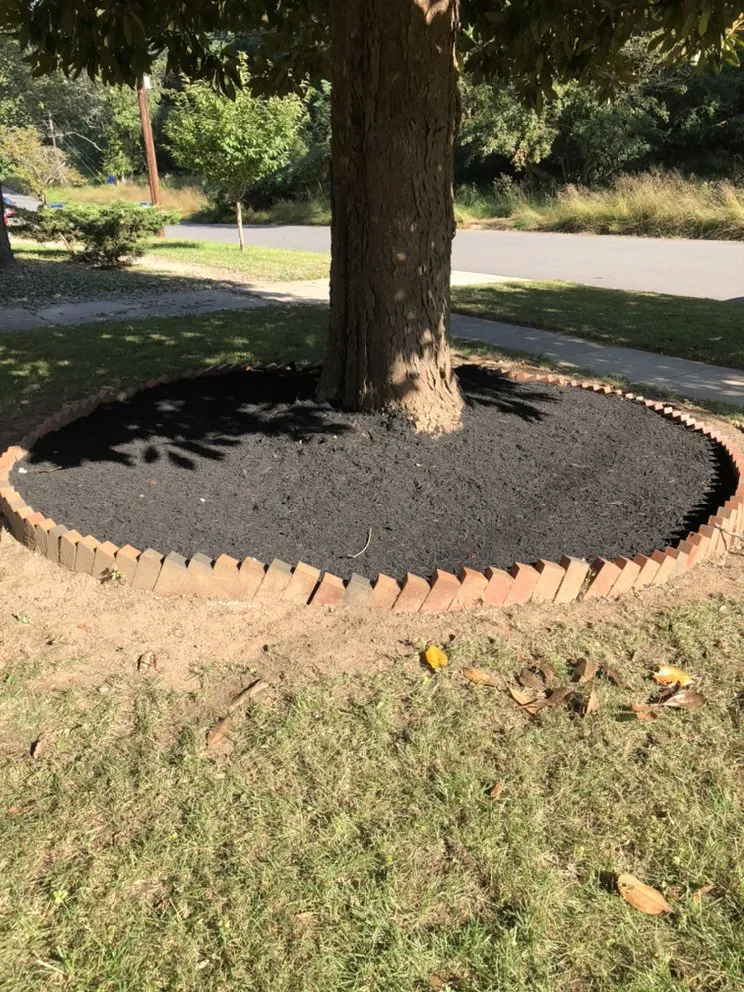 Trusted yard cleanup service in Baltimore, MD - McPherson Property Services