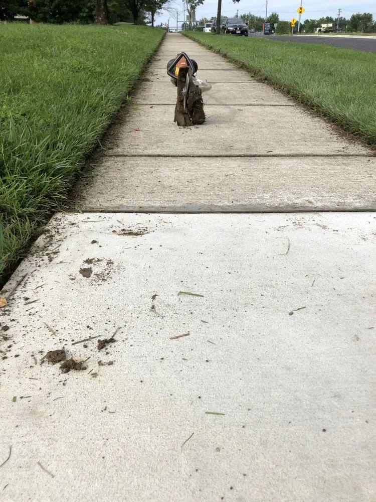 Affordable residential landscaping experts serving Baltimore, MD - McPherson Property Services