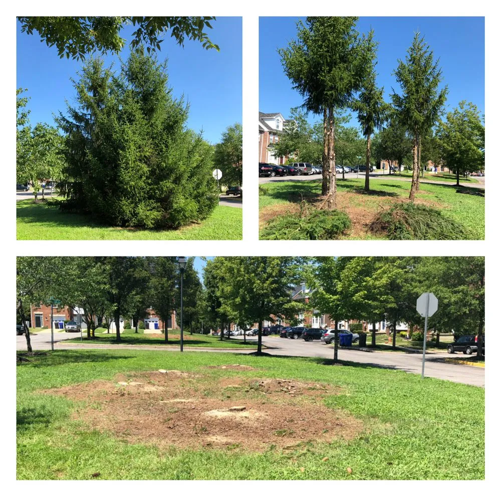 Professional yard maintenance for outdoor upgrades across Baltimore, MD - McPherson Property Services