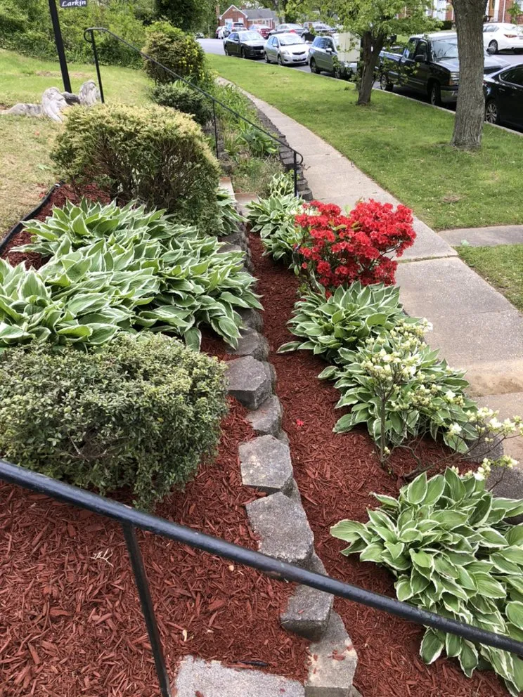 Trusted lawn mowing service in Baltimore, MD - McPherson Property Services