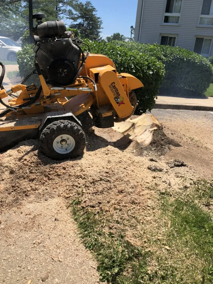 Expert landscape installation near you in Baltimore, MD by McPherson Property Services