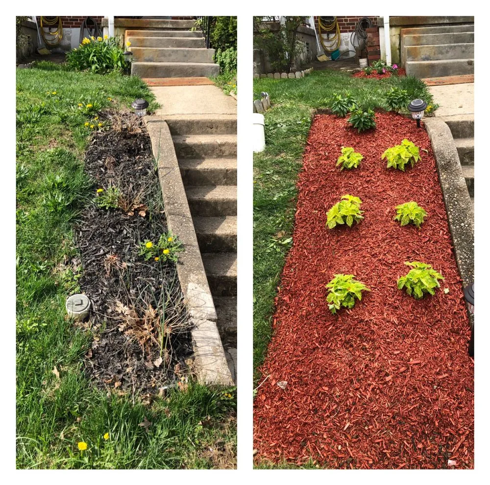 Expert yard cleanup service for residential properties across Baltimore, MD - McPherson Property Services