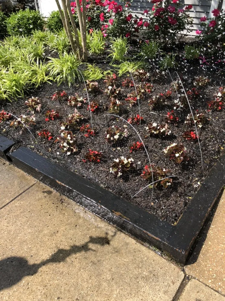 Professional lawn care service in Baltimore, MD by McPherson Property Services