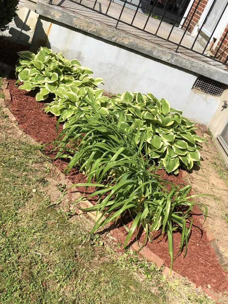 Top-rated lawn care service in Baltimore, MD by Mcpherson’s Landscaping Services