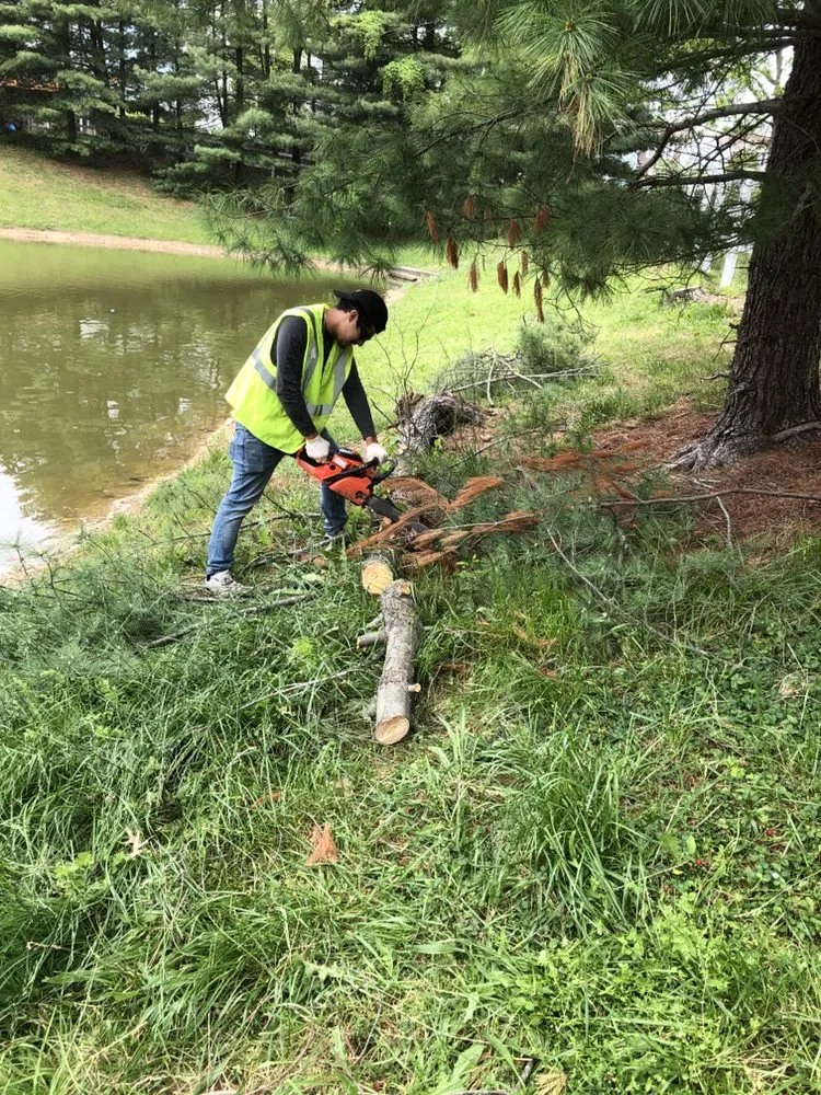 Affordable yard maintenance experts serving Baltimore, MD - Mcpherson’s Landscaping Services
