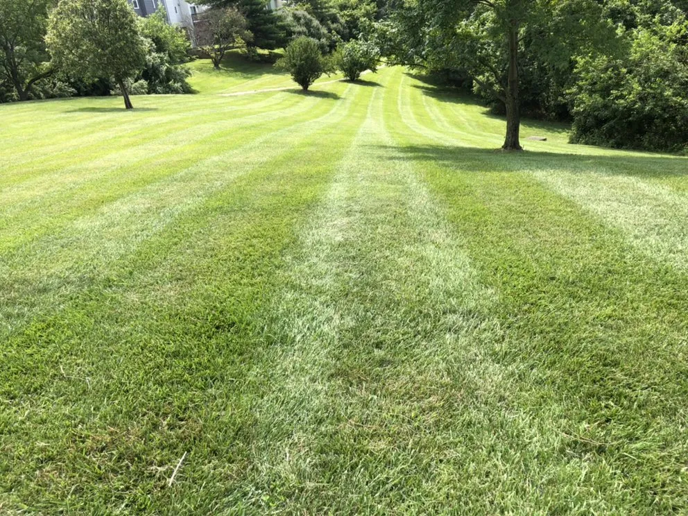 Top-rated landscaping services in Baltimore, MD by Mcpherson’s Landscaping Services