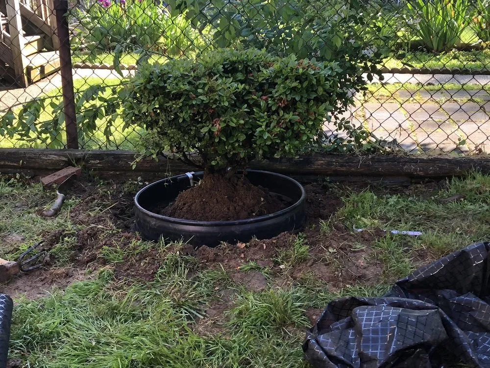 Affordable outdoor landscaping for beautiful yards in Baltimore, MD by Mcpherson’s Landscaping Services