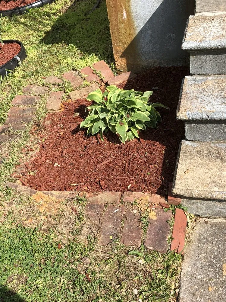 Local landscaping services for year-round maintenance across Baltimore, MD - Mcpherson’s Landscaping Services