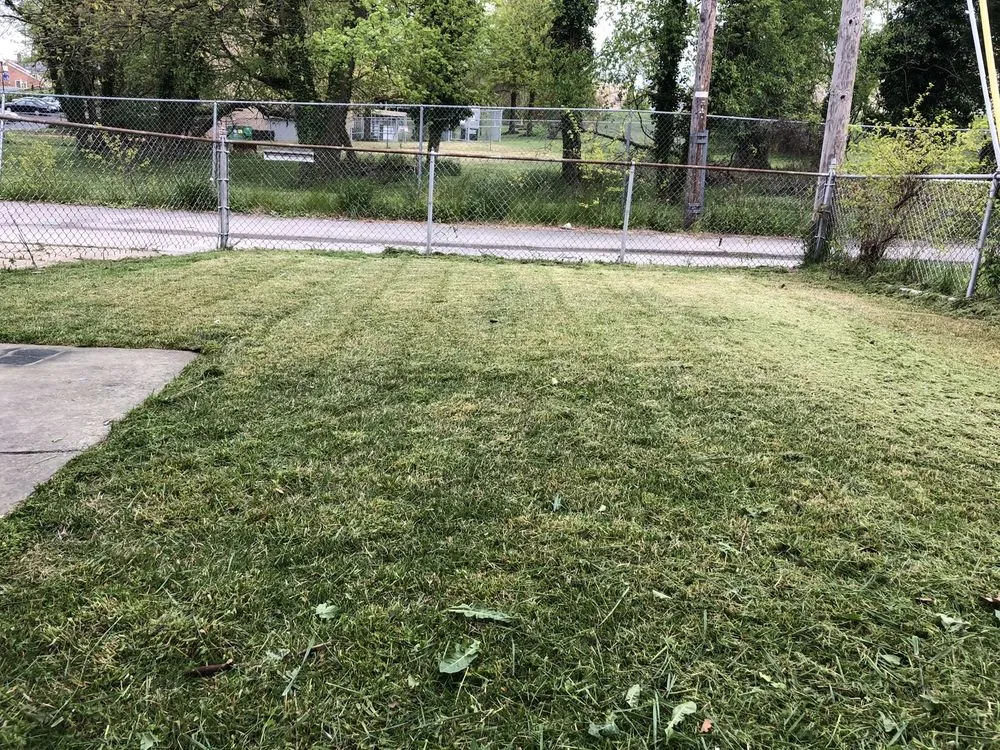 Affordable landscape installation experts serving Baltimore, MD - Mcpherson’s Landscaping Services