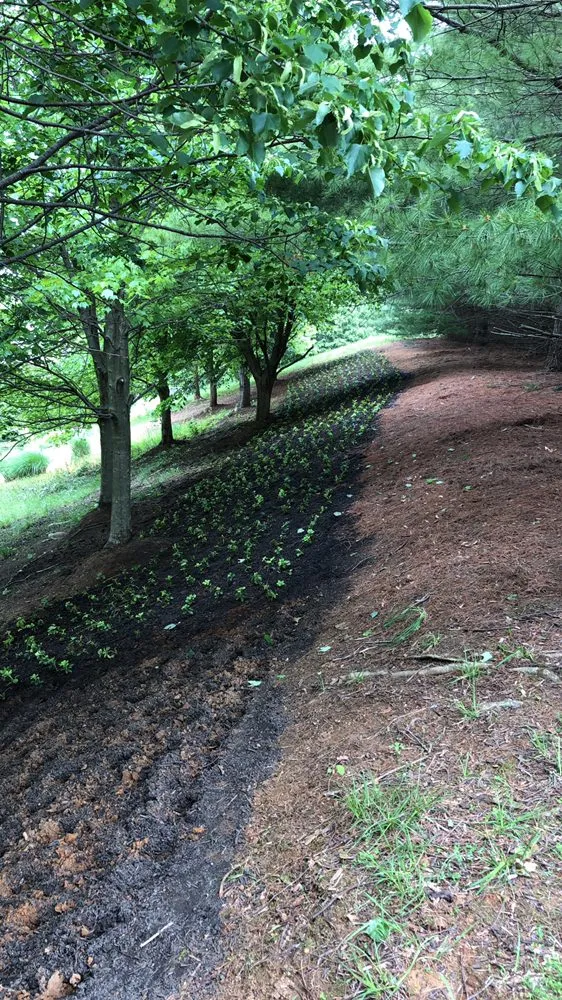 Affordable lawn mowing service for homes across Baltimore, MD - Mcpherson’s Landscaping Services