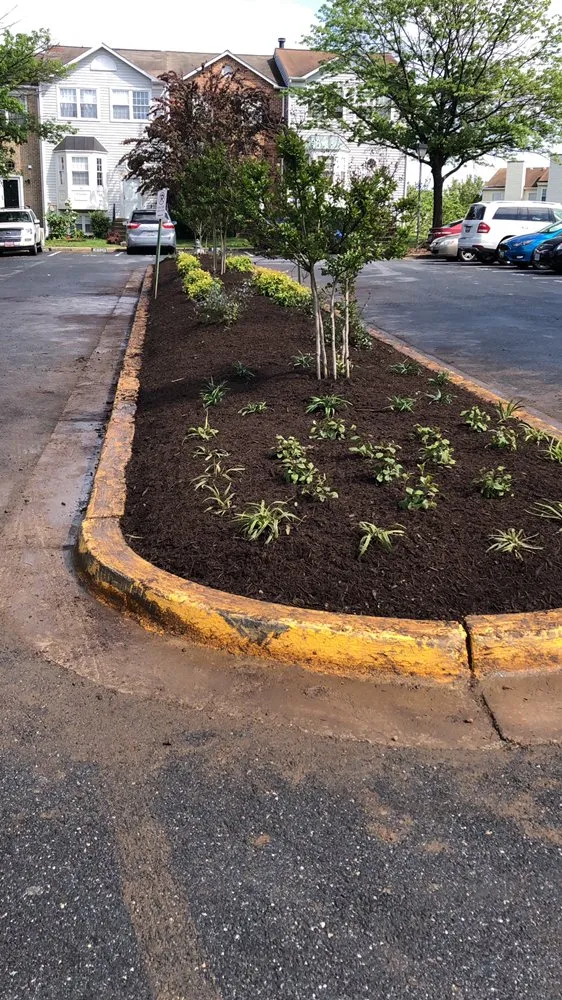 Top-rated landscaping services for residential properties in Baltimore, MD by Mcpherson’s Landscaping Services