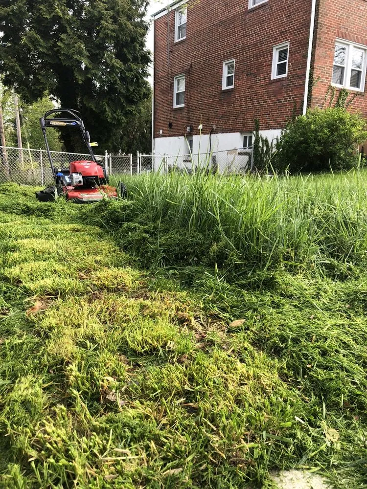Local lawn care service in Baltimore, MD - Mcpherson’s Landscaping Services