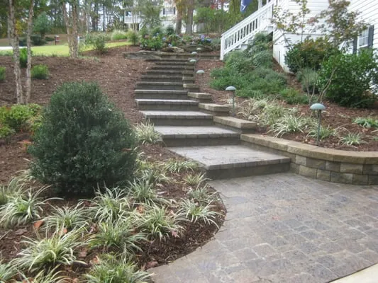 McPlants Landscape Services Logo