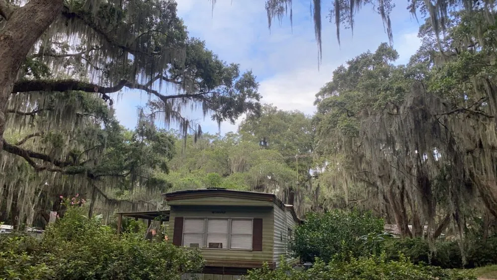 Custom landscaping services in Townsend, GA - McQuaig Tree Services