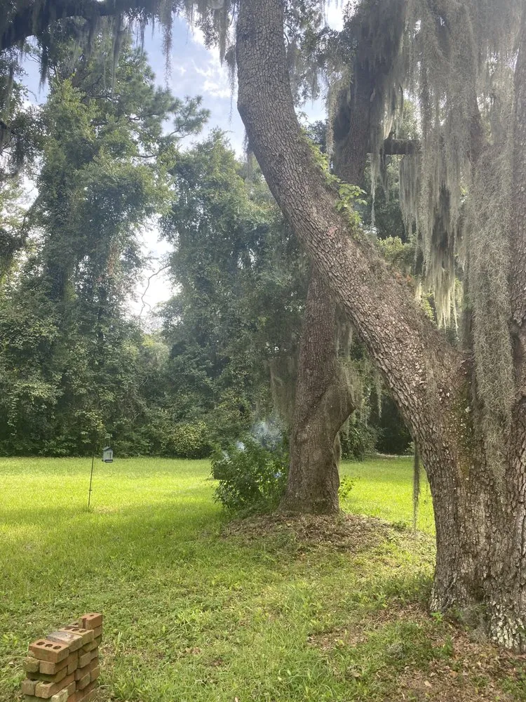Reliable landscaping services experts serving Townsend, GA - McQuaig Tree Services