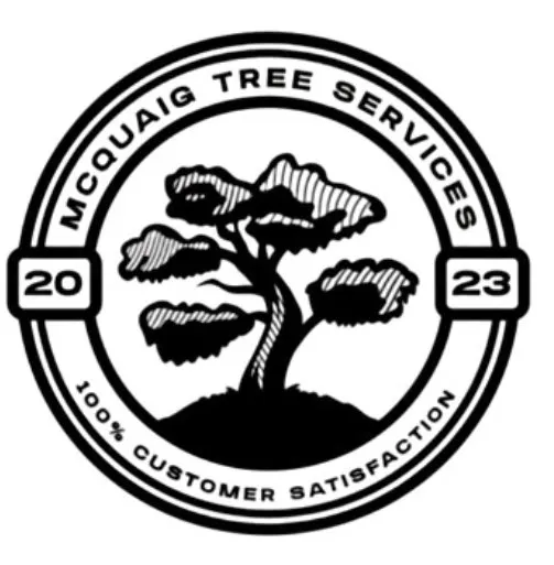 Reliable lawn care service in Townsend, GA - McQuaig Tree Services