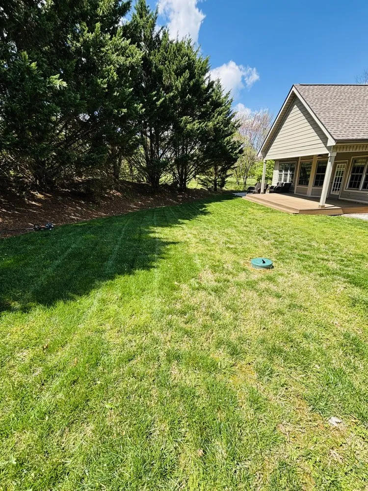 Top-rated landscaping services for residential properties across Johnson City, TN - McQueen Lawn Service