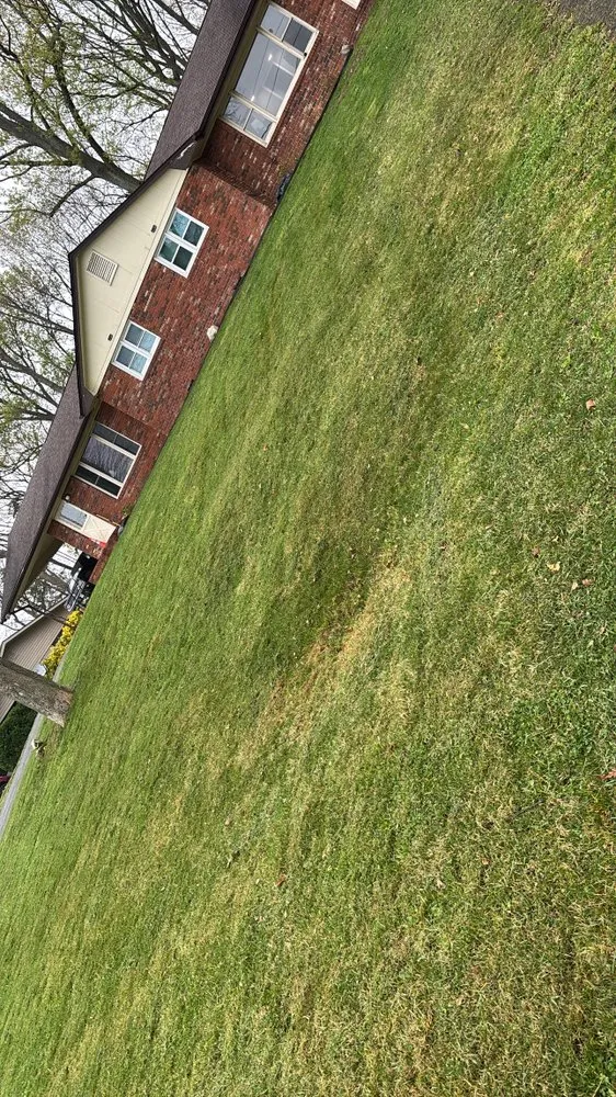 Local residential landscaping in Johnson City, TN - McQueen Lawn Service