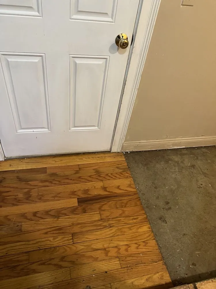 Expert yard cleanup service in Du Quoin, IL - McQueens On-The-Go