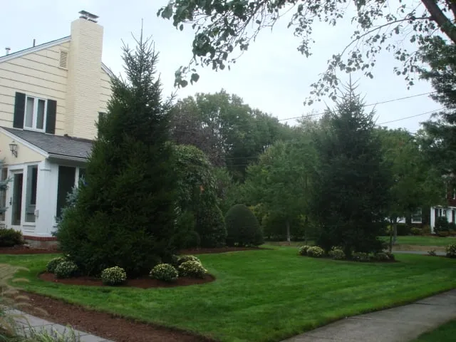 Custom lawn care service for beautiful yards across Cranford, NJ - MCR Landscaping