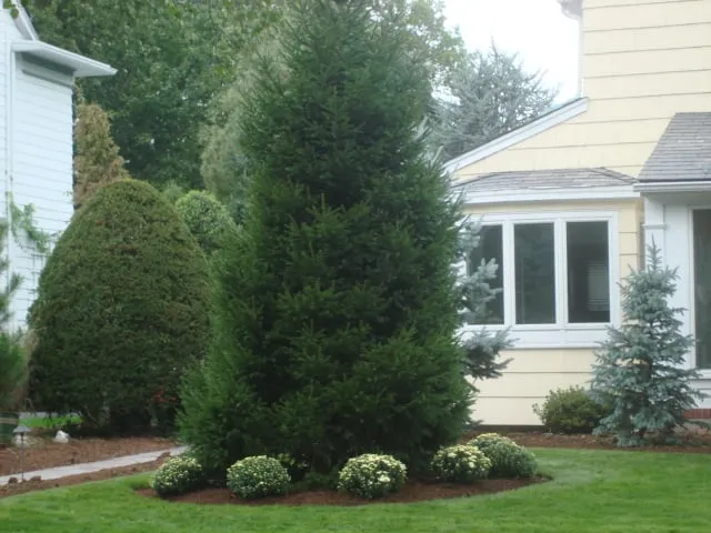 Custom garden landscaping for beautiful yards across Cranford, NJ - MCR Landscaping