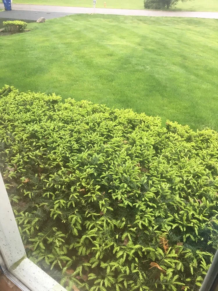 Local landscape installation in Westerville, OH by McRae's Lawn Service