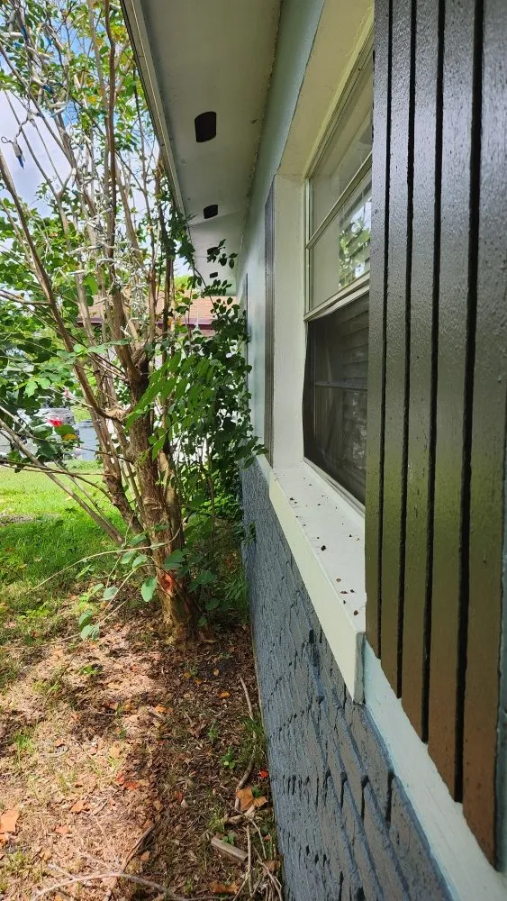 Trusted landscaping services in Orlando, FL by MC's Landscaping & Services