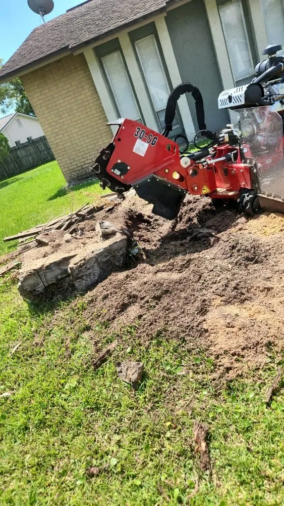 Reliable landscape installation near you in Orlando, FL by MC's Landscaping & Services