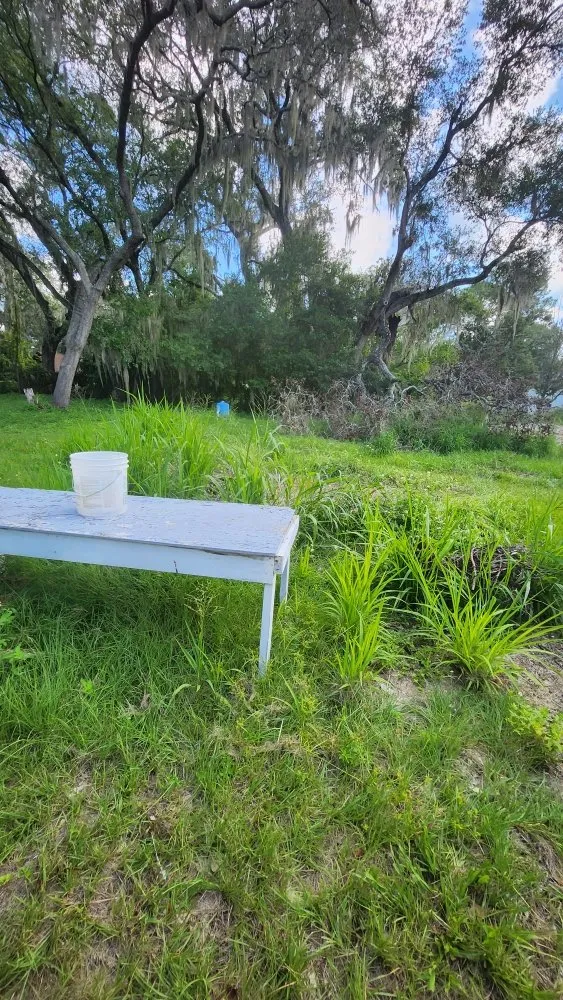 Affordable residential landscaping in Orlando, FL - MC's Landscaping & Services