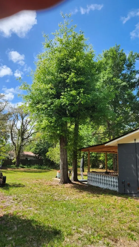 Affordable yard maintenance near you across Orlando, FL - MC's Landscaping & Services