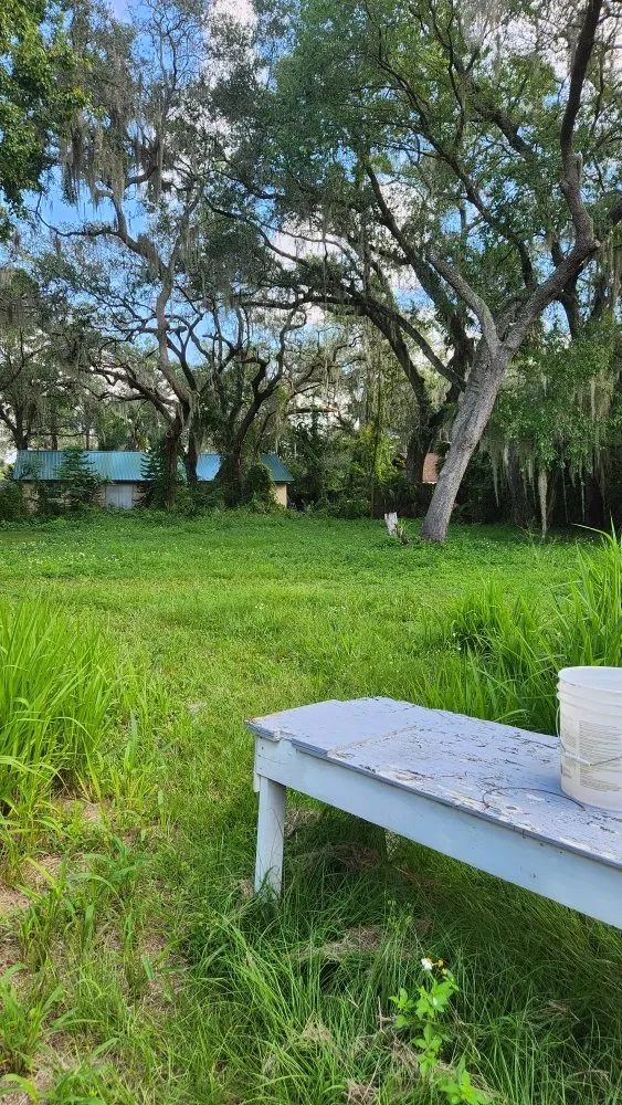 Local landscape installation for outdoor upgrades across Orlando, FL - MC's Landscaping & Services