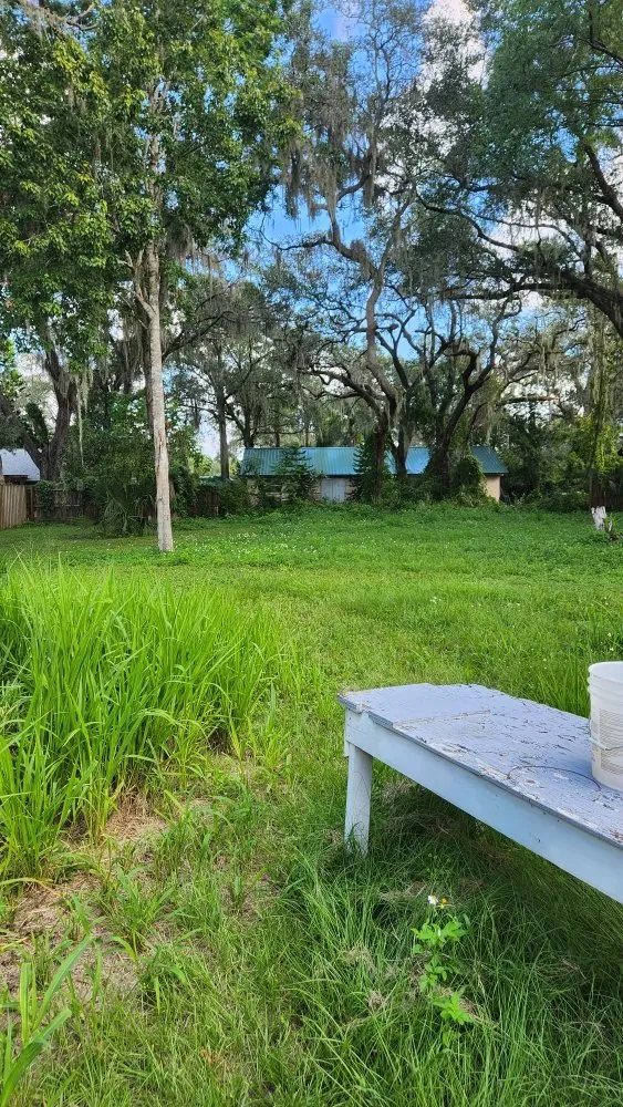 Top-rated lawn mowing service experts serving Orlando, FL - MC's Landscaping & Services